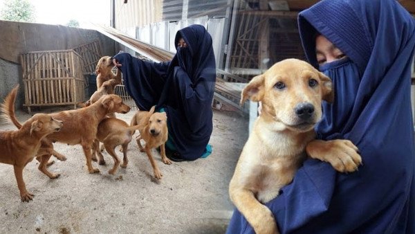 Dog Mom dan Stigma: Mengapa Perempuan Muslim Dihujat Karena Sayang Anjing?